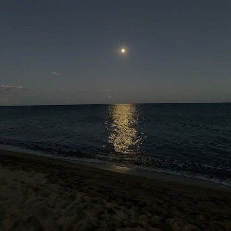 Beach Night Aesthetic, Andrew Barth Feldman, No Hard Feelings, Aesthetic 2023, Moon Beach, Beach Night, The Moon, Moon