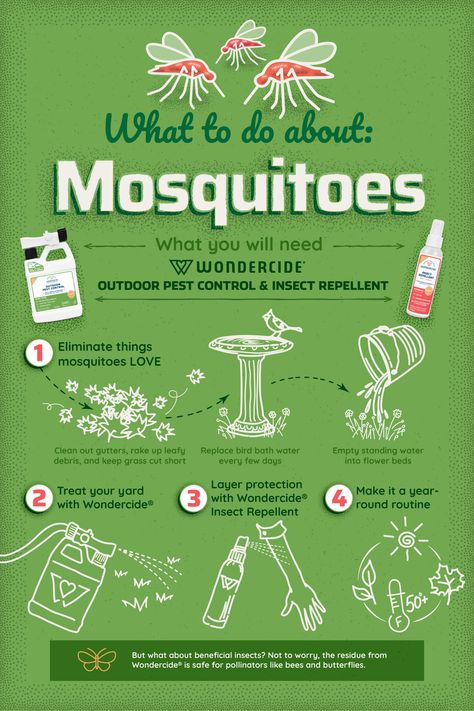 Get Rid Of Mosquitos In Yard, Ant Killer Natural, Camping Insect Repellent, Mosquito Yard Spray, House Bugs, Mosquito Spray, Bug Killer, Ant Killer, Diy Pest Control