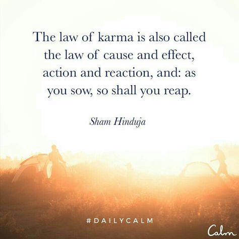 Law Of Cause And Effect, Quotes Karma, Daily Calm, Law Of Karma, Calm Quotes, Karma Quotes, Cause And Effect, Deep Quotes, Great Quotes