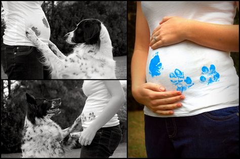 Dog Baby Announcement, Gender Reveal Photos, It's A Boy Announcement, Creative Pregnancy Announcement, Gender Announcements, Idee Babyshower, Baby Boy Announcement, Baby Presents, Baby Gender Reveal