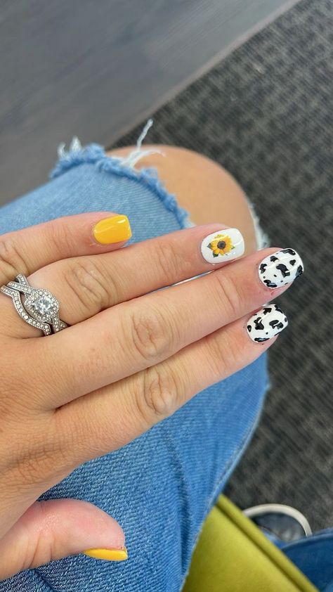 Cow Print With Sunflower Nails, Sunflower Cow Print Nails, Sunflower And Cow Print Nails, Sunflower Acrylic Nails, Grad Nails, Sunflower Acrylic, Cow Print Nails, Cowboy Nails, Cute Nail Colors