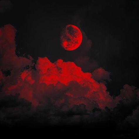 I just got result 'blood red moon' on quiz 'which kind of sky are you?'. What will you get? Moon Aesthetic, Red Moon, Full Moon, In The Dark, Moon, Red