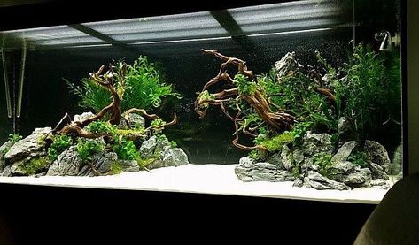 Real Waterfall, Decorating Ideas Bedroom, Water Terrarium, Biotope Aquarium, Aquascape Design, Fish Tank Design, Home Interior Design Ideas, Aquarium Terrarium, Fresh Water Fish Tank