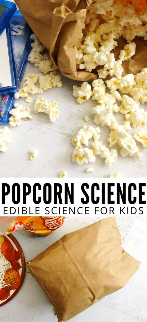 Popcorn Science Project, Popcorn Science, Popcorn In A Bag, Scientific Method For Kids, Easy Science Fair Projects, Edible Science, Making Christmas Tree, Science Activity For Kids, How To Make Popcorn