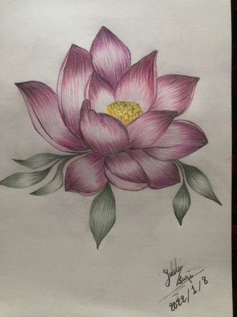 Coloured Pencil Flowers, Easy Drawings Colored Pencils, Colored Pencil Drawings Of Flowers, Flowers With Colored Pencils, Realistic Rose Drawing, Cool Easy Drawings, Pencil Drawings Of Flowers, Pencil Drawing Images, Color Pencil Sketch