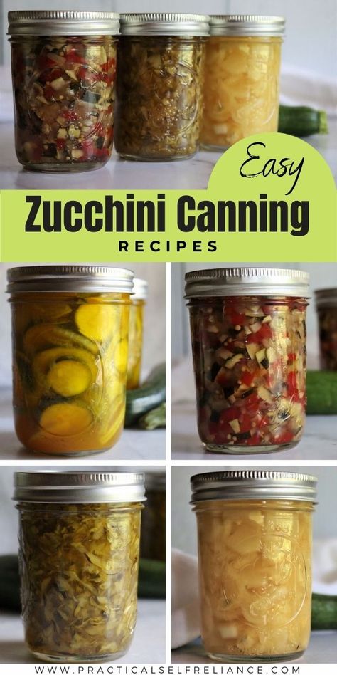 Easy & Creative Canning Zucchini Recipes: How to Preserve Summer Squash- If you're looking for the best ways to preserve zucchini squash and zucchini canning ideas, look no further. Water bath canning zucchini and summer squash is so easy to do, even for beginners. From zucchini, relish to jam to marmalade. Even zucchini canned in pineapple juice, zucchini pickles, and canning zucchini in tomato sauce. You're going to love all of these canning recipes for summer squash and garden zucchini. Pressure Canning Zucchini, Zucchini Recipes For Canning, Canning Recipes Zucchini, Preserving Zucchini Recipes, Canning Recipes For Zucchini, Zuchinis Recipe Canning, Pickling Zucchini Canning Recipes, Zucchini Salsa Canning Recipes, Zucchini Preservation