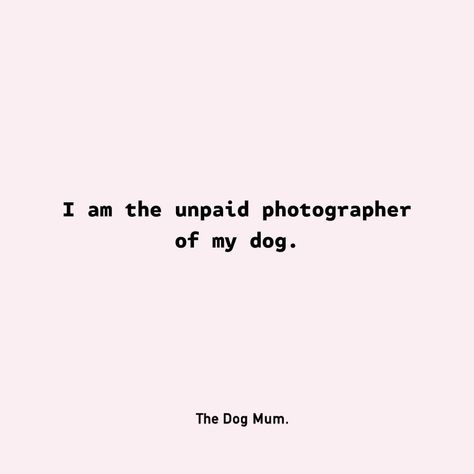 Dog Happiness Quotes, Summer Dog Quotes, Dogs Quotes Meaningful, Puppy Quotes For Instagram, Dog Captions, Funny Dog Quotes, Cute Dog Quotes, Dog Mom Quotes, Funny Words To Say