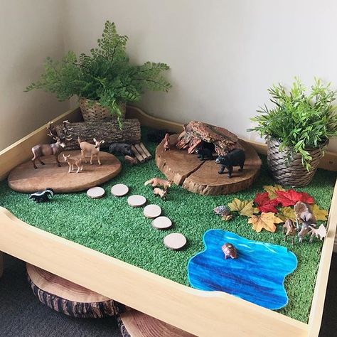 It was a forest small world kinda day today! 🐻 🌟 Lilly helped me rotate some of our play room this afternoon so we decided to set up a new small world! We had a look through our Schleich collection and settled on a forest for this week! 🦊 🌟 Our small world table is just a @kmartaus train table with a piece of artificial turf from @bunnings added to the top. 🌟 Our animals are all Schleich brand from @minizooshop and our large wooden cookie and piece of timber was foraged from @... Train Table Hack, Schleich Collection, Diy Forest, Preschool Classroom Setup, Train Table, Tuff Tray, Sensory Table, Play Table, Play Spaces