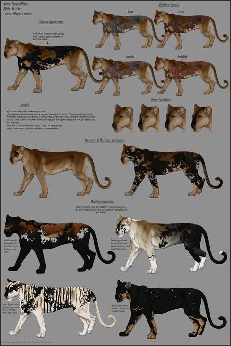 Cat Drawing Tutorial, Mythical Creatures Fantasy, Beast Creature, Warrior Cat Oc, Warrior Cats Art, Canine Art, Animated Animals, Creature Drawings, Tiger Art