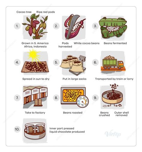 IELTS Essay: Cocoa Beans and Chocolate Process Diagram - How to do IELTS Ielts Essay, Writing Task 1, Process Diagram, Ielts Listening, Process Chart, Writing Corner, Pie Charts, Map Reading, Cocoa Beans