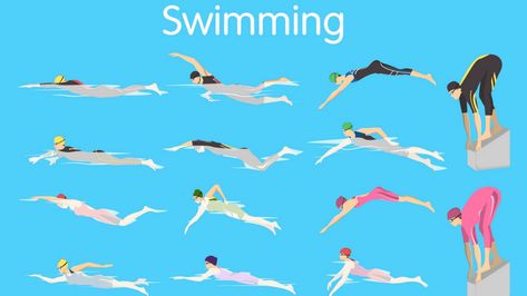 What Is Your Swim Type? Types Of Swimming, Swimming Illustration, How To Swim Faster, Swimming Videos, Types Of Strokes, Swim Technique, How To Swim, Best Swimmer, Fitness Articles