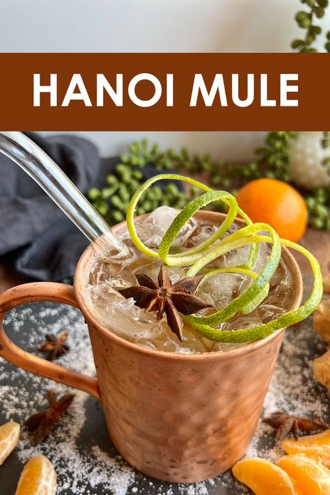 A Moscow Mule mug filled with ice and topped with a star anise and shoestring lime peel Vietnamese Cocktail Recipes, Vietnamese Cocktails, Vietnamese Drinks, Lemongrass Cocktail, Asian Cocktails, Asian Dinner Party, Bartending Drinks, Ginger Mule, Mocktail Ideas