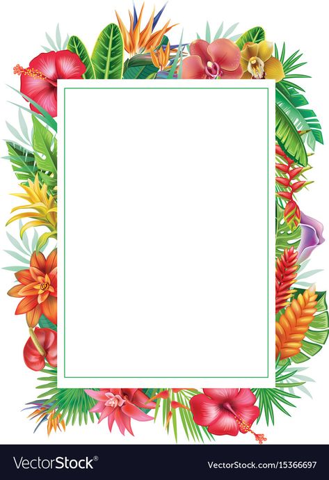 Tropical Plants And Flowers, Sticker Background, Plants Vector, Picture Borders, Hawaiian Plants, Tropical Frames, Fiesta Tropical, Plant Background, Alone In The Dark