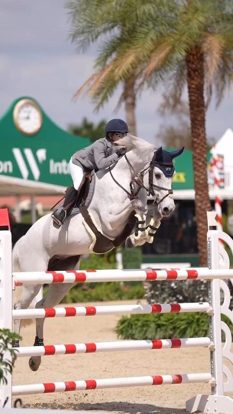 Horse Racing Videos, Horses Jumping Videos, Beautiful Horses Wild, Horse Riding Videos, Horsey Life, Funny Horse Pictures, Foto Cowgirl, Horse Competition, Show Jumping Horses