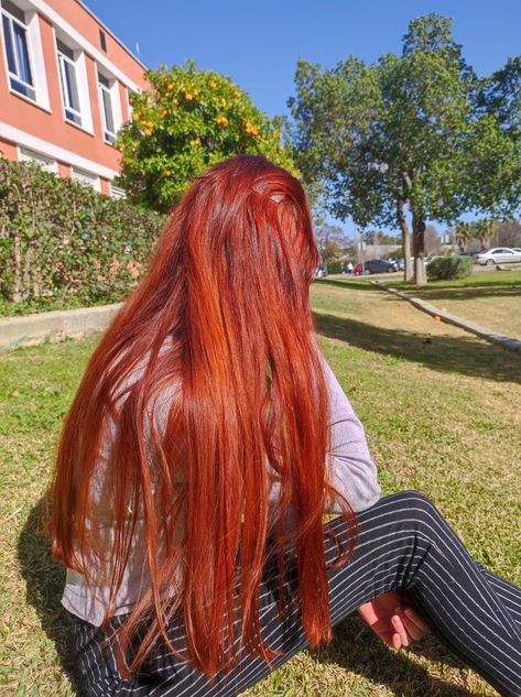 Henna Red Hair, Henna Hair Dye Red, Red Henna Hair, Henna Hair Dye, Witchy Hair, Henna Hair Color, Henna Color, Hair Nutrition, Red Hair Inspo