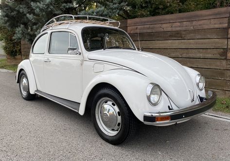 Classic Beetle, Vw Sedan, Vw Cars, Vw Bug, Spring Vibes, Car Features, Vw Beetle, Barn Finds, Vw Beetles