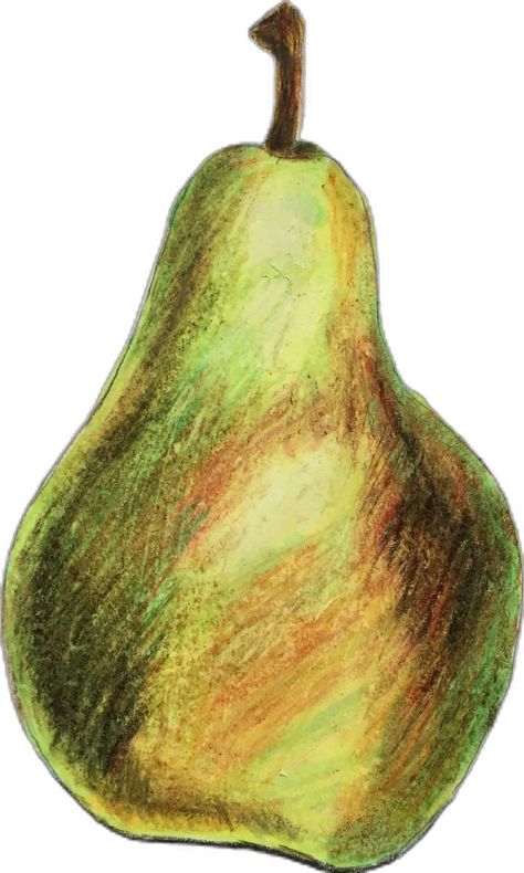 Pear Sketch, Pear Drawing, Color Pencil, Oil Pastel, Drawing Sketches, Colored Pencils, Art Ideas, Pear, Pencil