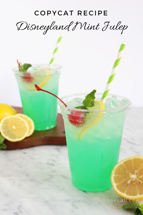 Copycat Disneyland Mint Julep Recipe - Liz on Call Mint Julep Recipe Disneyland, Mint Julep Recipe Non Alcoholic, Disneyland Recipes, Easy Party Punch, Julep Recipe, Mint Julep Recipe, Easy Punch Recipes, Party Punch Recipes, Recipes Drinks