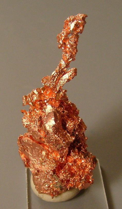 native copper by cl2007 on DeviantArt Photography Animals, Copper Mineral, Natural Science, Plants Nature, Rocks And Gems, Jewel Box, Raw Stone, Science And Nature, Rocks And Minerals