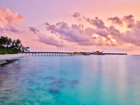 Joali, Maldives- HarpersBAZAARUK Maldives Photography Wallpaper, Maldives Beach Wallpaper, Maldives Wallpaper, Starry Sea Maldives, Maldives Wallpaper Desktop, Maldives Travel Poster, Maldives Beach, Holiday Program, Scenery Pictures