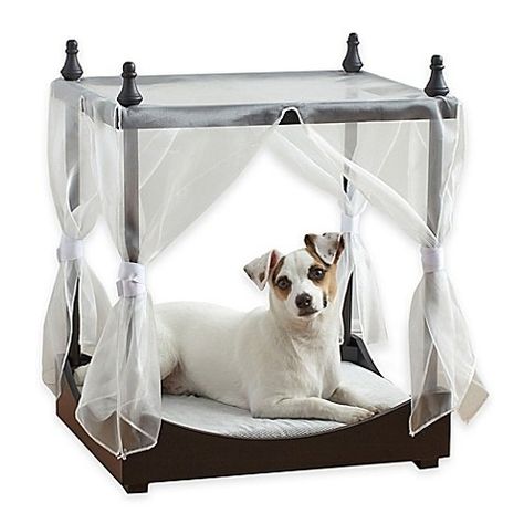 Over-the-top dog beds Photos | Architectural Digest (=) Canopy Dog Bed, Pet Canopy Bed, Dog Canopy Bed, Cheap Dog Beds, Designer Dog Beds, Foam Bed, Covered Dog Bed, Orthopedic Dog Bed, Dog Rooms