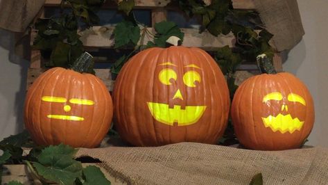 Project these Singing Pumpkins Effects onto a trio of uncarved pumpkins. Singing Pumpkins, Animated Pumpkins, Cult Classic Movies, Pumpkin Display, Halloween Music, Horror Picture Show, Pumpkin Jack, Monster Mash, Halloween Displays