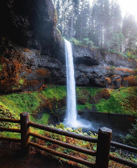 Waterfall chasing in Oregon 🌊✨ There's nothing quite like the rush of finding hidden gems tucked away in the lush forests of the Pacific Northwest. From towering falls to tranquil cascades, this state has it all. Who’s up for an Oregon waterfall adventure? 🌲💦 📸 @jakeguzman #waterfallchasing #oregonwaterfalls #exploreoregon #pnw #pnwonderland #hikingadventures #naturelovers #waterfallhikes #adventuretime #oregonexplored #outdoorlife #pnwlife #beautifuldestinations #naturephotography #chasing... Tower Falling, Explore Oregon, Oregon Waterfalls, Waterfall Adventure, Waterfall Hikes, The Rush, G Adventures, The Pacific Northwest, Outdoor Life