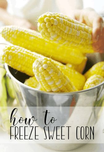 How to freeze fresh sweet corn and WHY you should - Root and Bloom Forever Cooking And Baking Recipes, Cook Corn, Freezing Vegetables, Back Kitchen, Freezing Food, Columbus Indiana, Canning Food Preservation, Canned Food Storage, Pretty Please