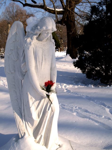 Swan Point - Providence, RI Winter Gif, Angel Garden Statues, Entertaining Angels, Angel Garden, Cemetery Angels, Cemetery Statues, I Believe In Angels, Snow Sculptures, Angel Statue