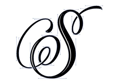 Letter S script lettering bezier curves by Vini Vieira S Script Letter, Letter S In Different Fonts, S Letter Drawing Art, S Cursive Letter, Letter S Cursive, S Letter Calligraphy, S In Calligraphy, S In Different Fonts, S Letter Drawing