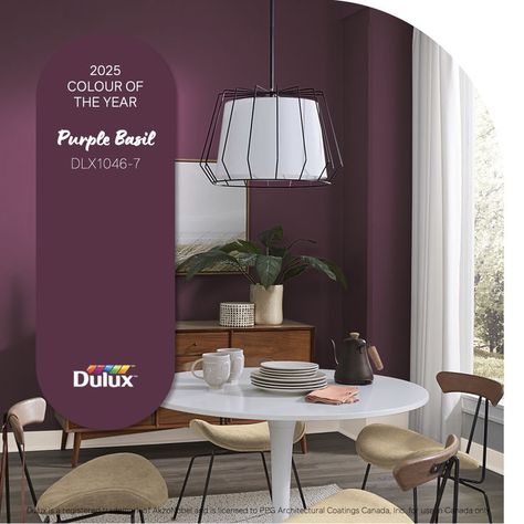 A pleasant, yet high-impact hue that demonstrates the transformative power of colour. This colour embodies warm, rich purple shades, supporting the growing trend of using dramatic colours in home decor. Explore Purple Basil (DLX1046-7) and all of our 2025 paint colours. Paint Colour Palettes, Colour Decor, Dulux Paint Colours, Purple Basil, Purple Paint Colors, Paint Trends, Dulux Paint, Purple Shades, Paint Color Palettes