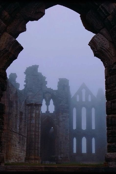 Spooky Houses, Irish Dishes, Eerie Places, Whitby Abbey, Sacred Sites, British Things, Linden Tree, Beautiful Ruins, Urban Exploring