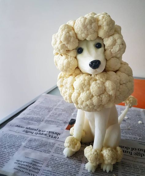 Meet 'Tommy' Cauliflower poodle dog Cauliflower Poodle, Vegetable Animals, Vegetable Tray, Food Artwork, Amazing Food Art, Creative Food Art, Relish Trays, Easy Food Art, Food Garnishes