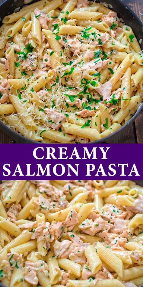 This simple and elegant One Pot Creamy Salmon Pasta makes a quick and filling dinner that your family will love! FOLLOW Cooktoria for more deliciousness! #pasta #salmon #fish #seafood #dinner #lunch #easydinner #recipeoftheday Dinner Pescatarian, Pasta Salmon, Pasta Simple, Salmon Healthy, Creamy Salmon Pasta, Salmon Pasta Recipes, Dinner Salmon, Creamy Salmon, Pasta Creamy