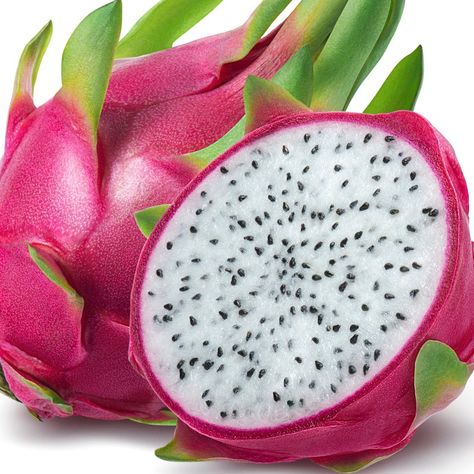 Dragon Fruit Photography, Dragon Fruit Pictures, Alien Fruit, Inside Fridge, Dragon Fruit Cactus, Jelly Fruit, Thanh Long, Cactus Types, Fruit Picture