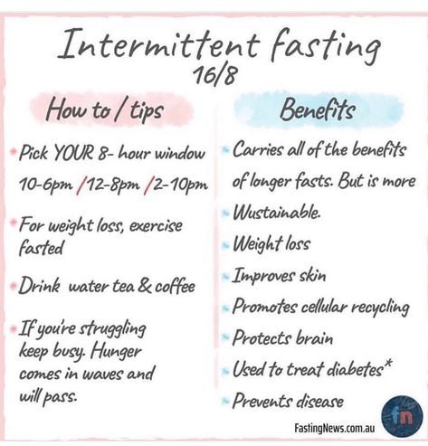 Loose Weight In A Week, Fasting Intermittent, Intermittent Fasting Diet, Skin Drinks, Body Fat Loss, Fat Burning Machine, Exercise Plan, Makanan Diet, Fasting Diet