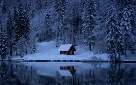 Download wallpaper 1920x1200 lake, forest, snow, winter, trees widescreen 16:10 hd background Winter Lake House, Desktop Background Images, House In Nature, Computer Backgrounds, Wallpaper Laptop, Forest Wallpaper, Lake Forest, Tree Wallpaper, Winter Wallpaper