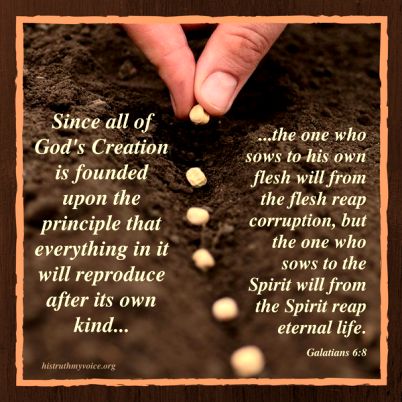 Sowing And Reaping, Personal Bible Study, Eternal Life, In The Flesh, Quotes About God, Word Of God, Bible Study, Verses, The Voice