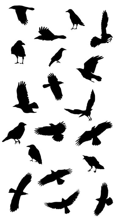 Crows Ravens, Raven Tattoo Ideas, Bird Stencil, Crow Tattoo Ideas, Black Birds, Blackbird Tattoo, Raven Outline. Flying bird stencil Raven Drawing, Raven Silhouette, Black Bird Fly, Rabe Tattoo, Flying Bird Silhouette, Crow Silhouette, Vogel Silhouette, Vogel Tattoo, Bird Tattoo Wrist