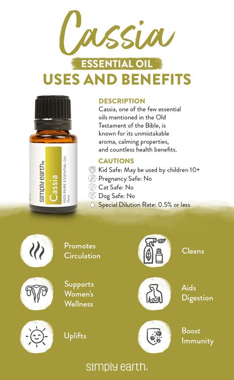 Cassia Essential Oil is a great way to help support your health. Not only does it positively affect your circulation, but it also has a wonderful effect on your mood. 🌿🌿🌿 #essentialoils #simplyearth #health Cassia Oil Benefits, Cassia Plant, Essential Oils Properties, Cassia Essential Oil, Simply Earth, Essential Oil Education, Green Witchcraft, Benefits Of Essential Oils, Cinnamon Oil