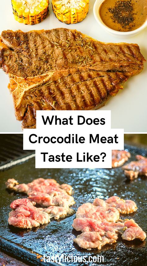 is crocodile meat healthy | crocodile meat recipe | crocodile meat benefits | does crocodile meat taste like chicken | fall recipes dinner | healthy lunch ideas | dinner ideas | breakfast ideas | easy healthy dinner recipes Crocodile Meat Recipes, How To Cook Alligator Meat, Alligator Meat Recipes, Crocodile Recipes, Chicken Fall Recipes, Alligator Recipes, Fried Alligator Recipe, Breakfast Ideas Easy Healthy, Fall Recipes Dinner