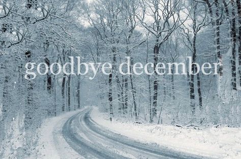 Goodbye December new years winter trees months december goodbye december Goodbye December, December Images, December Pictures, December Quotes, Happy New Year Images, Days And Months, Winter Photo, Winter Love, Quotes About New Year