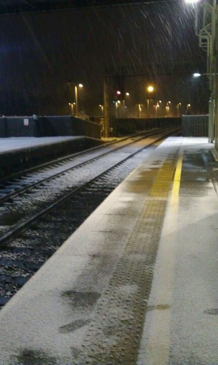 Snowy Train Station, Abandoned Train Station, Abandoned Train, Snowy Trees, Interesting Images, Train Station, Country Roads, Trees, Train