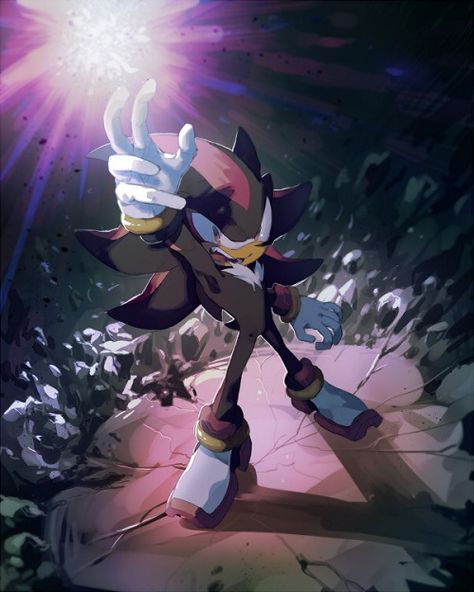 Chaos Control! Chaos Control, Shadow And Maria, Shadow Sonic, Shadow And Amy, Sonic Heroes, Silver The Hedgehog, Sonic Characters, Sonic And Amy, Sonic Franchise