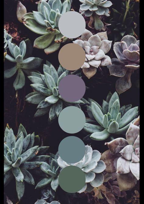 Succulent colour Palette. Green, purple, blue, brown, pastels #color #colourful #colourinspiration #colorful #colorpallete #digitalart #design #designideas #designinspo #green #purple #blue #brown #greenaesthetics #naturevibes #naturalcolours Colours That Go Well With Purple, Blue Green Purple Interior Design, Succulent Color Palette Wedding, Wedding Color Schemes Lavender And Green, Blue Green Purple Bedroom, Lavender Green Gold Color Palette, Sage Green Purple Bedroom, Purple Green Brown Wedding, Color Palette With Purple And Green