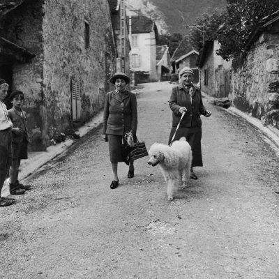 Alice B Toklas, Gertrude Stein, Woman Authors, Odd Couples, Vintage Poodle, English Sheepdog, Great Love Stories, Old English Sheepdog, Standard Poodle