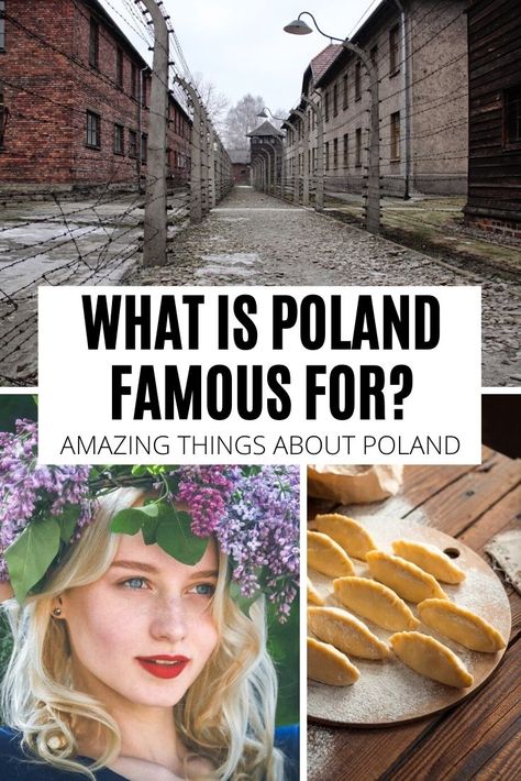 Wonder what is Poland famous for? Check out this ultimate list of the greatest Poles, best Polish inventions, food, and more! Polish Heritage, Polish Culture, Polish Genealogy Ancestry, Polish Food, Poland Facts, Polish Christmas Traditions, Poland Vacation, Poland Food, Poland Country