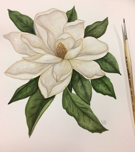 Magnolia Flower Artwork, Drawing Of Magnolia Flower, Magnolia Gouache Painting, Magnolia Texture Painting, Magnolia Art Acrylic Paintings, Magnolia Flower Watercolor, Magnolia Flower Painting Acrylics, Magnolia Tree Drawing, Magnolia Tree Painting