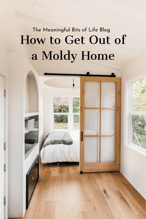 Mold Smell, Mold Toxicity, House Mold, Mold Exposure, Mold Remediation, Moving Out, Getting Out, Soft Furnishings, Home Values