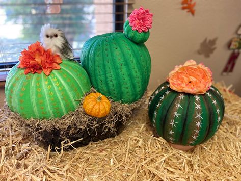 Cactus Painted Pumpkin, Pumpkins Painted Like Food, Cactus Pumpkin Decorating, Cactus Pumpkin Painting, Pumpkin Cactus, Creative Pumpkin Decorating Ideas, Cactus Pumpkin, Pumkin Ideas, Wicked Party